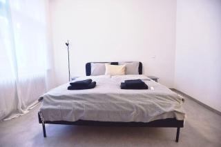 Airy & Bright Flat in Dejvice by Prague Castle - 2