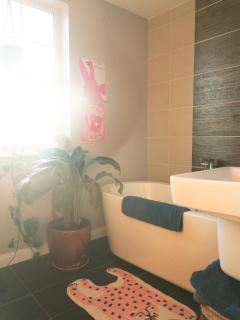 Luxury Studio Apartment - Belfast - Dundonald - Belfast - 7