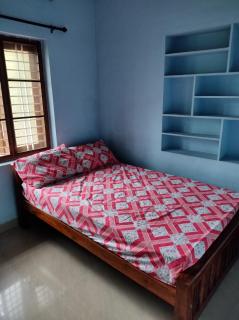 Beautiful and Peaceful house - Kanjikode - 3