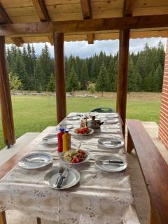 House in forest - Žabljak - 2