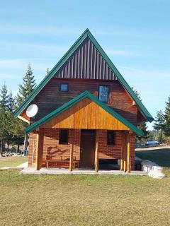 House in forest - Žabljak - 9