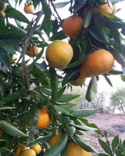 El Vergel - Cazorla - 3