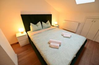 FLH - Neppendorf Loft - Sibiu - 6