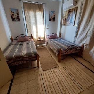 Downtown flat near french institute - Cairo - 5