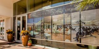 Gorgeous Furnished Apartments near Texas Medical Center & NRG Stadium - Houston - 6