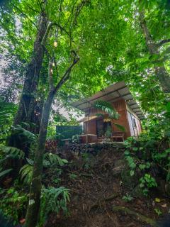 The frog house - 7