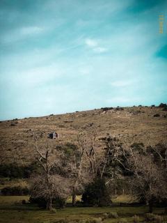 Casa Pitoco - Magia en las Sierras - Minas - 6