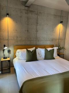 Departamentos y Suites Índigo - Querétaro - 6