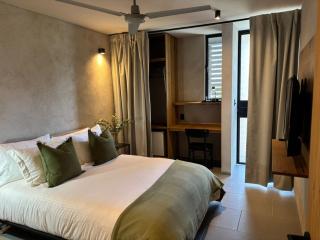 Departamentos y Suites Índigo - Querétaro - 4