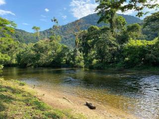 Fazendinha privada só pra você - Angra dos Reis - 0