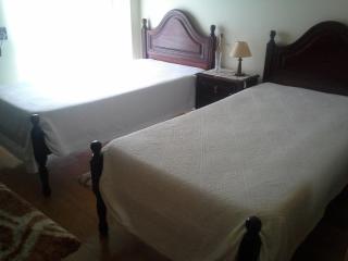 Borges Pimentel Apartment - Ponta Delgada - 0