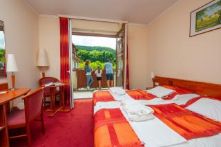 Erzsébet Park Hotel - 4