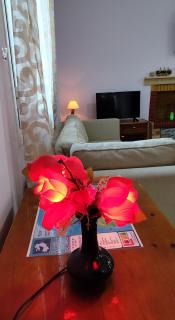 Irida Suite - Salamina - 3