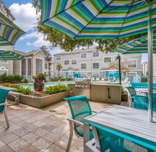 Resort Style Apt/Home in Houston Medical Centre - Houston - 3