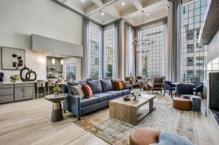 Resort Style Apt/Home in Houston Medical Centre - Houston - 0