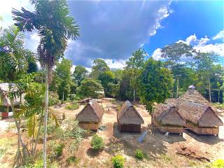 Amàuni - - 6