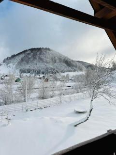 Planinska kuca Bjelasnica - Bjelašnica - 8