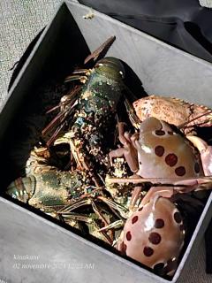 Kinakamo Lodge et Activités Rangiroa - 1