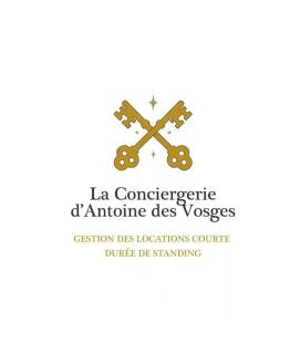 Le Grand Aigle, bel appartement style chalet - Xonrupt-Longemer - 9