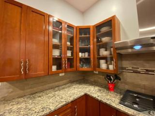 Beautiful 6-bedroom, Private Mansion with Hot Tub - Chicago - 4