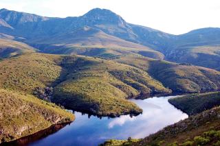 Akasha Mountain Retreat, new location - Heidelberg - 4