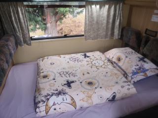 Motorhome Experience - Queenstown - 8