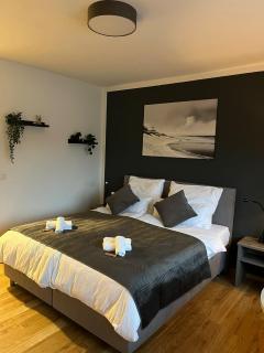 Rheinpanorama Suite mit Balkon - Coblença - 7