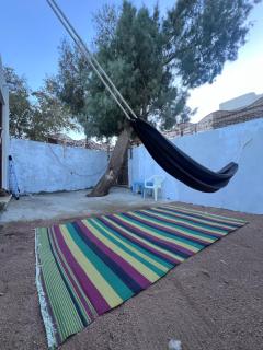 Tree house - Dahab - 9
