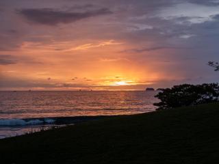 Reunion Wellness Resort & Retreats - 5