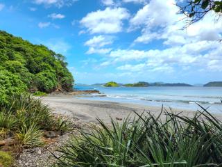 Reunion Wellness Resort & Retreats - 4