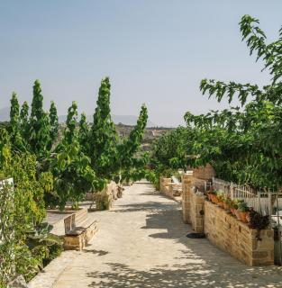 Villa Efthimia - Pitsidia - 6