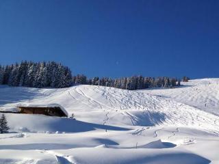 Ferienhaus Wallegg Lodge In Saalbach Hinterglemm - Saalbach-Hinterglemm - 8