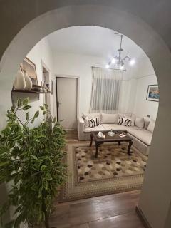 Cosy flat downtown french institute view - Cairo - 3