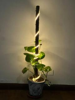 Aesthetic Self Check-in Suite - 1