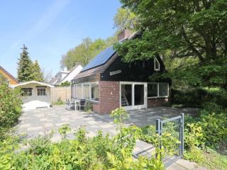 Holiday home near the beach in the dunes - Noordwijkerhout - 0