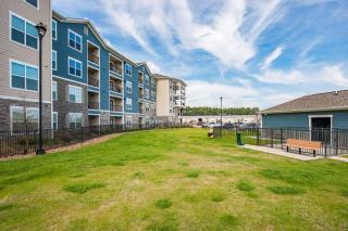 Spacious Furnished Resort Style Apartments - Tomball - 5