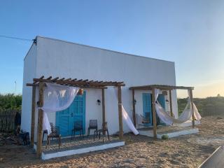Cajumar - Cajueiro - 0