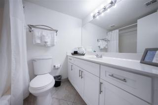 102 -Fully Furnished 1BR Suite-Prime Location - Scottsdale - 1