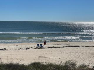 Sunflower 3 - St. George Island - 1