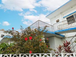 nalu okinawa - Uruma - 8