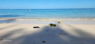 Driftwood Beach Apartment "oasis in paradise" - 5