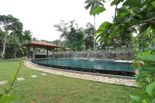 Villa Grove Shadow - 9