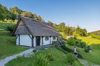 Vineyard Cottage Skatlar 2 - Srednje Grčevje - 8