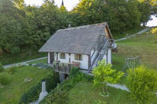 Vineyard Cottage Skatlar 2 - Srednje Grčevje - 9