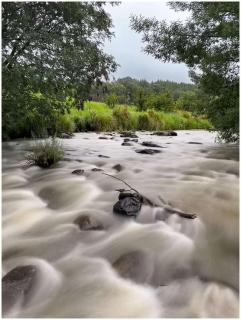 Brackenburn Trout and Trail Retreat - Elandskop - 4