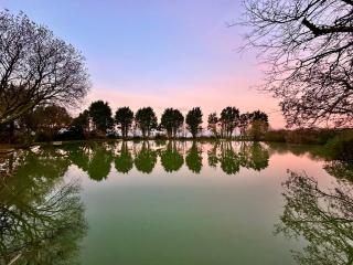 Lakeside Glamping Firecrest - Saint Columb Major - 7
