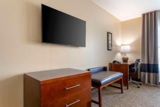 Comfort Inn & Suites Tavares North - 2