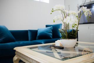Carlingford sweet studio with WiFi& Parking - Beecroft - 9