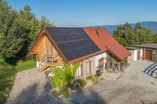 Vineyard cottage Škatlar 3 - Otočec - 9