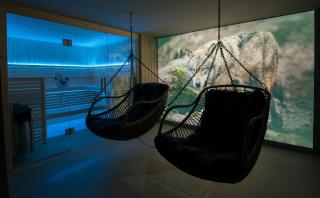 La Loge aux Loups, villa contemporaine avec piscine intérieure, sauna, local skis et vélos, à 100 m du lac - Gérardmer - 7